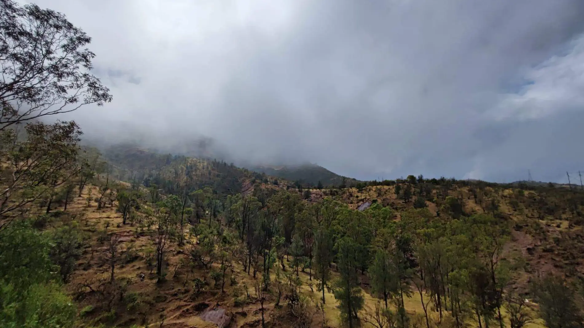 GUANAJUATO- LLEGA EL FRENTE FRÍO NÚMERO 15 2